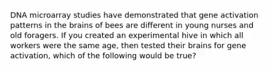 DNA microarray studies have demonstrated that gene activation patterns in the brains of bees are different in young nurses and old foragers. If you created an experimental hive in which all workers were the same age, then tested their brains for gene activation, which of the following would be true?