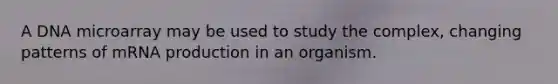 A DNA microarray may be used to study the complex, changing patterns of mRNA production in an organism.