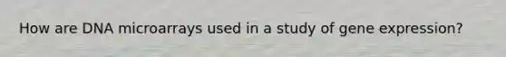 How are DNA microarrays used in a study of gene expression?