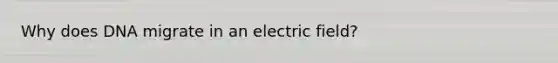 Why does DNA migrate in an electric field?