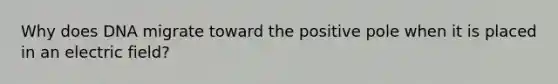 Why does DNA migrate toward the positive pole when it is placed in an electric field?