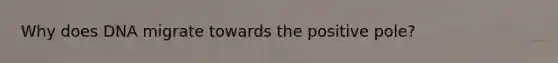 Why does DNA migrate towards the positive pole?
