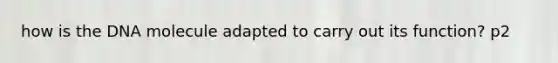 how is the DNA molecule adapted to carry out its function? p2
