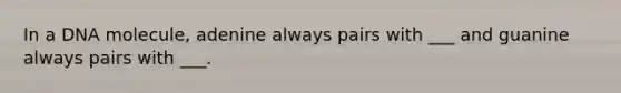In a DNA molecule, adenine always pairs with ___ and guanine always pairs with ___.
