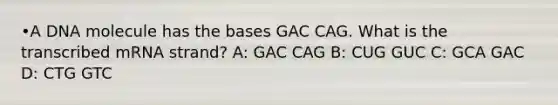 •A DNA molecule has the bases GAC CAG. What is the transcribed mRNA strand? A: GAC CAG B: CUG GUC C: GCA GAC D: CTG GTC