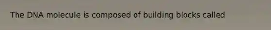 The DNA molecule is composed of building blocks called