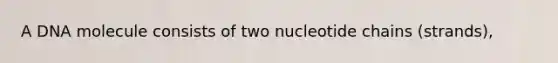 A DNA molecule consists of two nucleotide chains (strands),