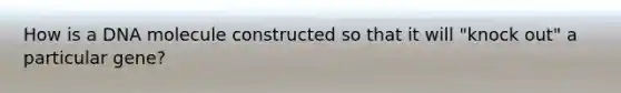 How is a DNA molecule constructed so that it will "knock out" a particular gene?