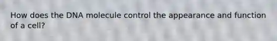 How does the DNA molecule control the appearance and function of a cell?