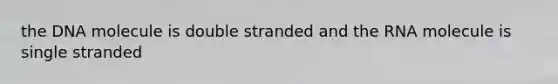 the DNA molecule is double stranded and the RNA molecule is single stranded