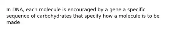 In DNA, each molecule is encouraged by a gene a specific sequence of carbohydrates that specify how a molecule is to be made