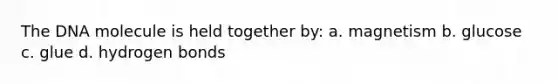The DNA molecule is held together by: a. magnetism b. glucose c. glue d. hydrogen bonds