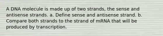 A DNA molecule is made up of two strands, the sense and antisense strands. a. Define sense and antisense strand. b. Compare both strands to the strand of mRNA that will be produced by transcription.