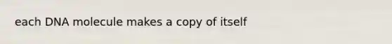 each DNA molecule makes a copy of itself