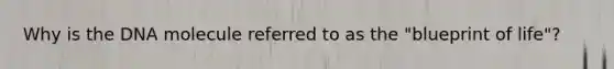 Why is the DNA molecule referred to as the "blueprint of life"?