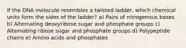 If the DNA molecule resembles a twisted ladder, which chemical units form the sides of the ladder? a) Pairs of nitrogenous bases b) Alternating deoxyribose sugar and phosphate groups c) Alternating ribose sugar and phosphate groups d) Polypeptide chains e) Amino acids and phosphates