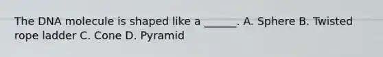 The DNA molecule is shaped like a ______. A. Sphere B. Twisted rope ladder C. Cone D. Pyramid