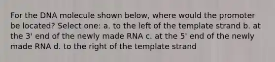 For the DNA molecule shown below, where would the promoter be located? Select one: a. to the left of the template strand b. at the 3' end of the newly made RNA c. at the 5' end of the newly made RNA d. to the right of the template strand