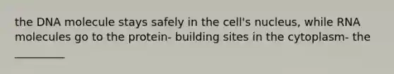 the DNA molecule stays safely in the cell's nucleus, while RNA molecules go to the protein- building sites in the cytoplasm- the _________