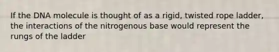 If the DNA molecule is thought of as a rigid, twisted rope ladder, the interactions of the nitrogenous base would represent the rungs of the ladder