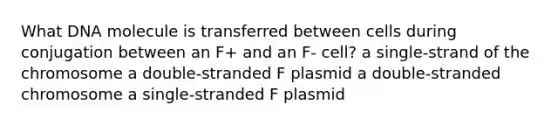 What DNA molecule is transferred between cells during conjugation between an F+ and an F- cell? a single-strand of the chromosome a double-stranded F plasmid a double-stranded chromosome a single-stranded F plasmid