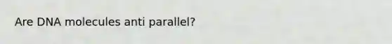 Are DNA molecules anti parallel?