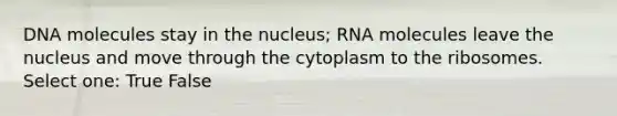 DNA molecules stay in the nucleus; RNA molecules leave the nucleus and move through the cytoplasm to the ribosomes. Select one: True False