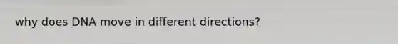 why does DNA move in different directions?