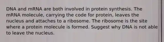 DNA and mRNA are both involved in protein synthesis. The mRNA molecule, carrying the code for protein, leaves the nucleus and attaches to a ribosome. The ribosome is the site where a protein molecule is formed. Suggest why DNA is not able to leave the nucleus.