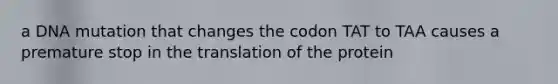 a DNA mutation that changes the codon TAT to TAA causes a premature stop in the translation of the protein