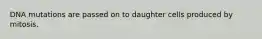 DNA mutations are passed on to daughter cells produced by mitosis.