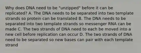 Why does DNA need to be "unzipped" before it can be replicated? A. The DNA needs to be separated into two template strands so protein can be translated B. The DNA needs to be separated into two template strands so messenger RNA can be made C. The two strands of DNA need to each be moved into a new cell before replication can occur D. The two strands of DNA need to be separated so new bases can pair with each template strand