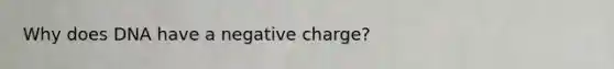 Why does DNA have a negative charge?