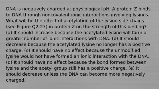 DNA is negatively charged at physiological pH. A protein Z binds to DNA through noncovalent ionic interactions involving lysines. What will be the effect of acetylation of the lysine side chains (see Figure Q2-27) in protein Z on the strength of this binding? (a) It should increase because the acetylated lysine will form a greater number of ionic interactions with DNA. (b) It should decrease because the acetylated lysine no longer has a positive charge. (c) It should have no effect because the unmodified lysine would not have formed an ionic interaction with the DNA. (d) It should have no effect because the bond formed between lysine and the acetyl group still has a positive charge. (e) It should decrease unless the DNA can become more negatively charged.