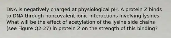 DNA is negatively charged at physiological pH. A protein Z binds to DNA through noncovalent ionic interactions involving lysines. What will be the effect of acetylation of the lysine side chains (see Figure Q2-27) in protein Z on the strength of this binding?