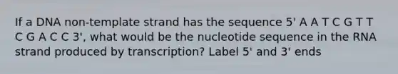 If a DNA non-template strand has the sequence 5' A A T C G T T C G A C C 3', what would be the nucleotide sequence in the RNA strand produced by transcription? Label 5' and 3' ends