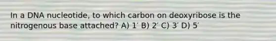 In a DNA nucleotide, to which carbon on deoxyribose is the nitrogenous base attached? A) 1′ B) 2′ C) 3′ D) 5′