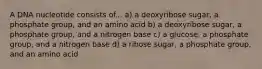 A DNA nucleotide consists of... a) a deoxyribose sugar, a phosphate group, and an amino acid b) a deoxyribose sugar, a phosphate group, and a nitrogen base c) a glucose, a phosphate group, and a nitrogen base d) a ribose sugar, a phosphate group, and an amino acid