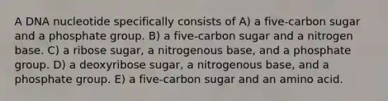 A DNA nucleotide specifically consists of A) a five-carbon sugar and a phosphate group. B) a five-carbon sugar and a nitrogen base. C) a ribose sugar, a nitrogenous base, and a phosphate group. D) a deoxyribose sugar, a nitrogenous base, and a phosphate group. E) a five-carbon sugar and an amino acid.