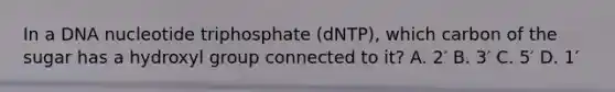 In a DNA nucleotide triphosphate (dNTP), which carbon of the sugar has a hydroxyl group connected to it? A. 2′ B. 3′ C. 5′ D. 1′