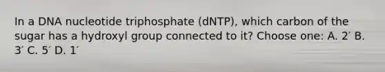 In a DNA nucleotide triphosphate (dNTP), which carbon of the sugar has a hydroxyl group connected to it? Choose one: A. 2′ B. 3′ C. 5′ D. 1′