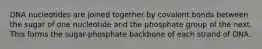 DNA nucleotides are joined together by covalent bonds between the sugar of one nucleotide and the phosphate group of the next. This forms the sugar-phosphate backbone of each strand of DNA.