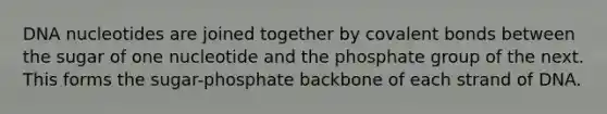 DNA nucleotides are joined together by covalent bonds between the sugar of one nucleotide and the phosphate group of the next. This forms the sugar-phosphate backbone of each strand of DNA.
