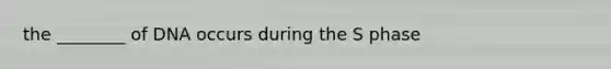 the ________ of DNA occurs during the S phase