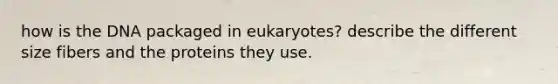 how is the DNA packaged in eukaryotes? describe the different size fibers and the proteins they use.