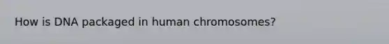 How is DNA packaged in human chromosomes?