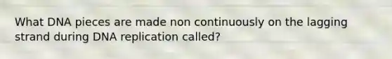 What DNA pieces are made non continuously on the lagging strand during <a href='https://www.questionai.com/knowledge/kofV2VQU2J-dna-replication' class='anchor-knowledge'>dna replication</a> called?