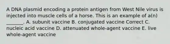 A DNA plasmid encoding a protein antigen from West Nile virus is injected into muscle cells of a horse. This is an example of a(n) _______. A. subunit vaccine B. conjugated vaccine Correct C. nucleic acid vaccine D. attenuated whole-agent vaccine E. live whole-agent vaccine