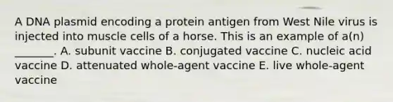 A DNA plasmid encoding a protein antigen from West Nile virus is injected into muscle cells of a horse. This is an example of a(n) _______. A. subunit vaccine B. conjugated vaccine C. nucleic acid vaccine D. attenuated whole-agent vaccine E. live whole-agent vaccine