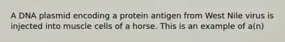 A DNA plasmid encoding a protein antigen from West Nile virus is injected into muscle cells of a horse. This is an example of a(n)